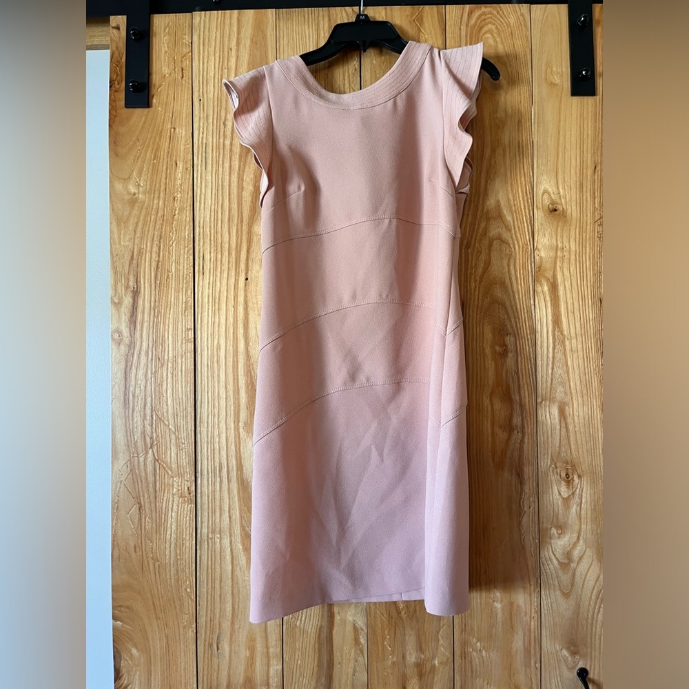 Ann Taylor Blush Pink Mini Dress with Ruffle Sleeves